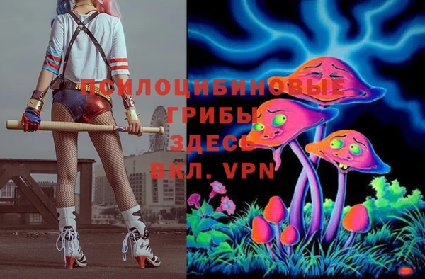 гидропоника Армянск
