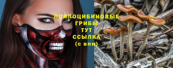 гидропоника Армянск